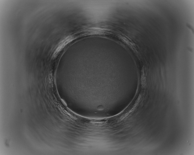 X0000100951453200806241452