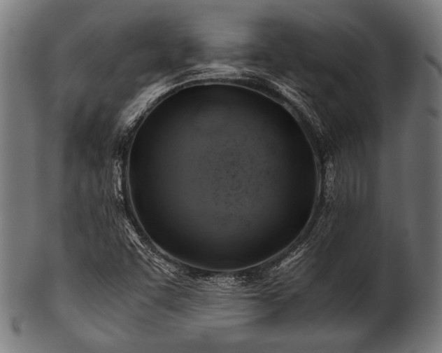 X0000100951455200806241452