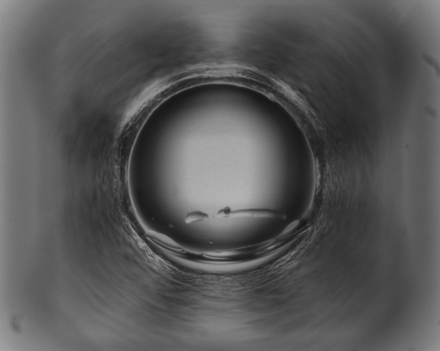 X0000100951456200806241452