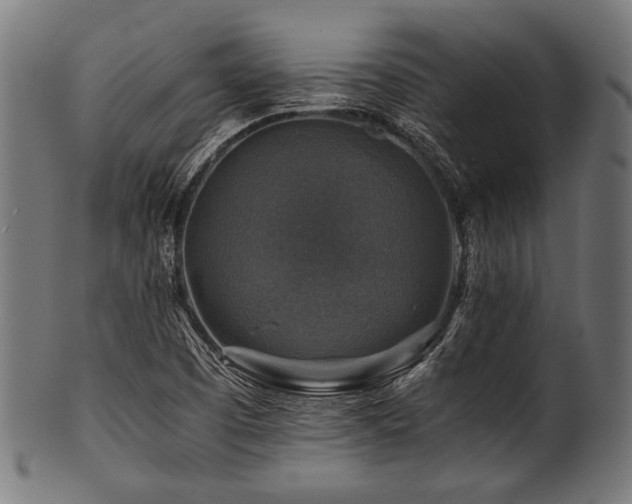 X0000100951457200806241452