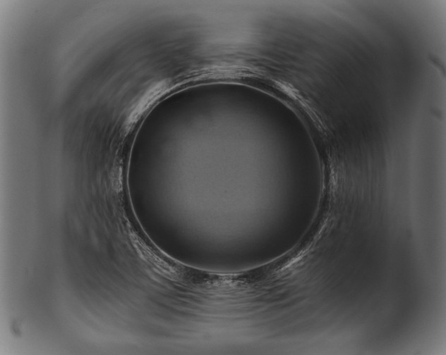 X0000100951459200806241452