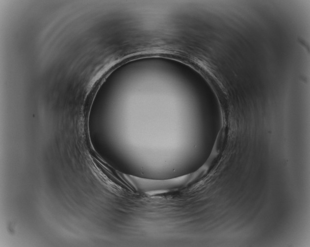 X0000100951460200806241452