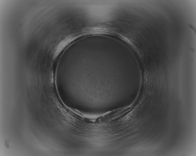 X0000100951461200806241452