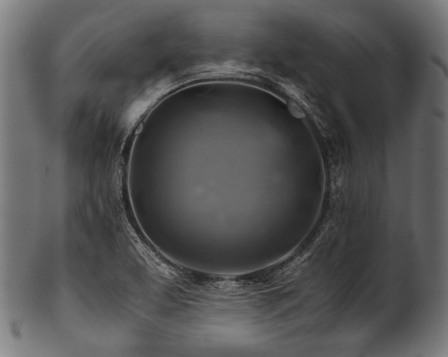 X0000100951463200806241452