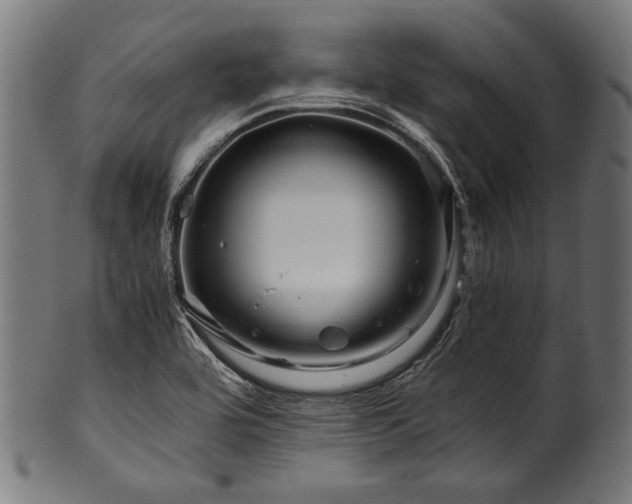 X0000100951464200806241452
