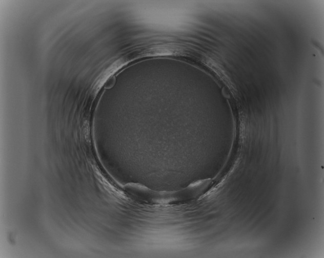 X0000100951465200806241452