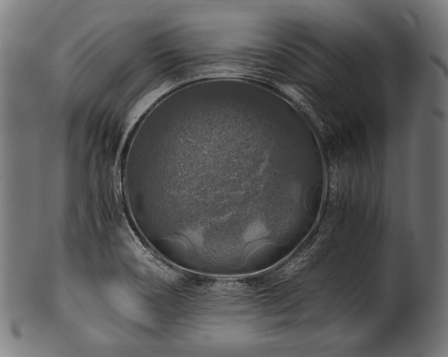 X0000100951466200806241452
