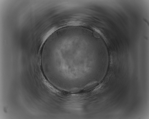 X0000100951467200806241452