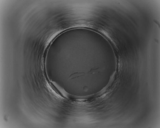 X0000100951468200806241452