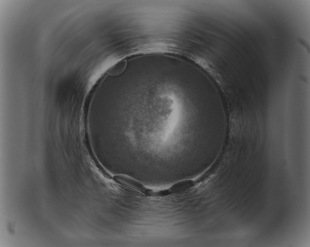 X0000100951469200806241452