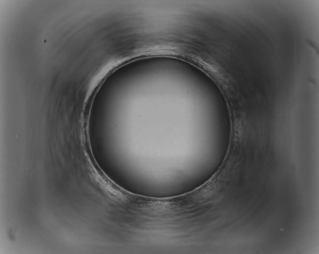 X0000100951470200806241452