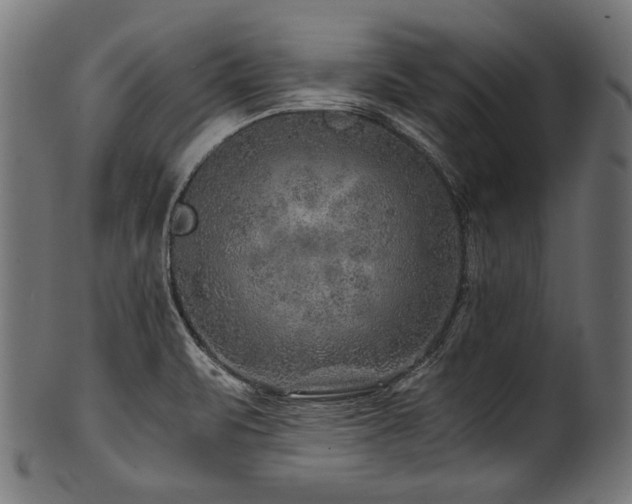 X0000100951471200806241452