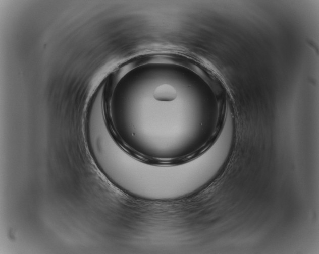 X0000100951472200806241452