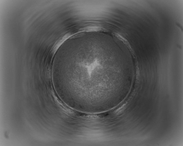 X0000100951473200806241451