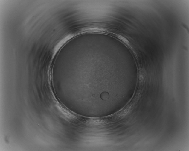 X0000100951474200806241451