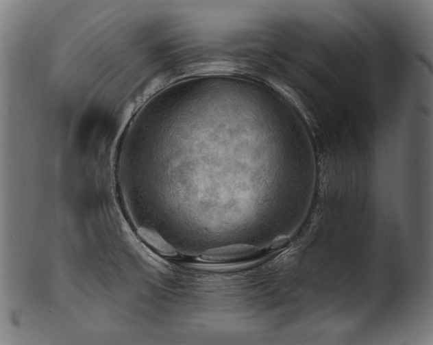 X0000100951475200806241451