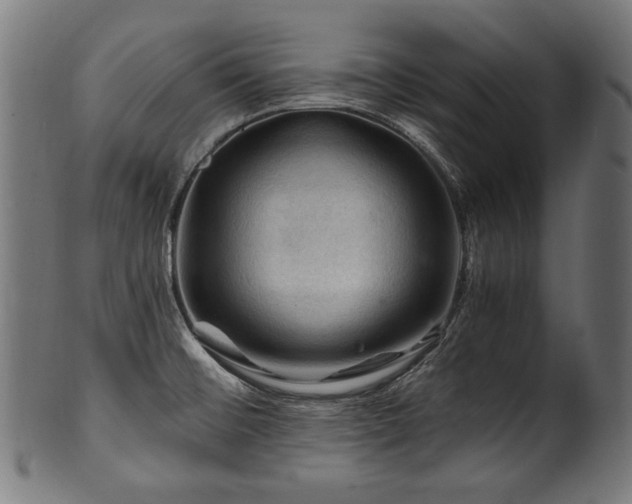 X0000100951476200806241451