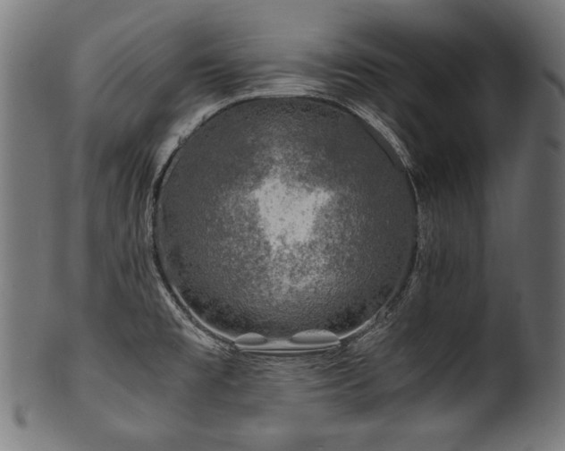 X0000100951477200806241451