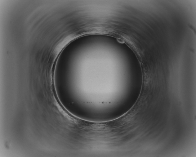 X0000100951479200806241451