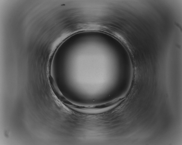 X0000100951480200806241451