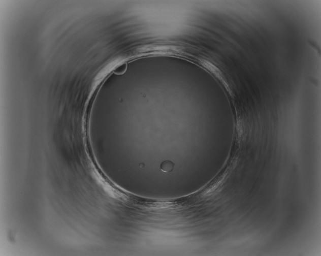 X0000100951482200806241451