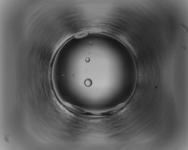 X0000100951484200806241451