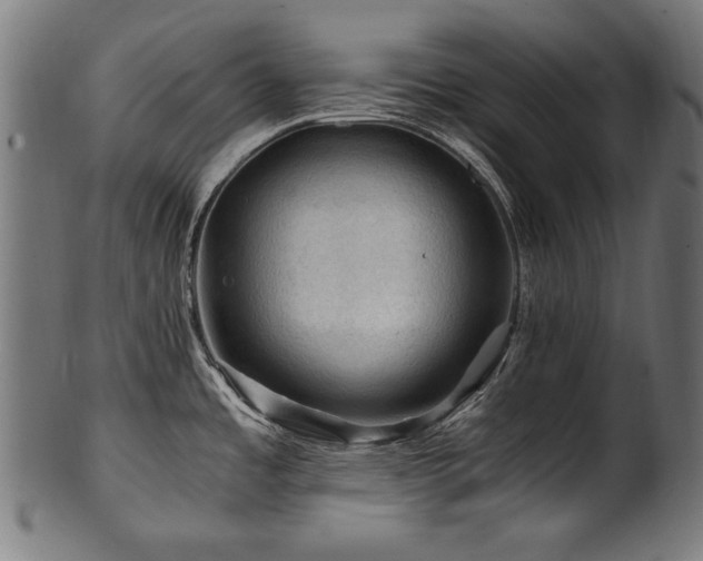 X0000100951485200806241451