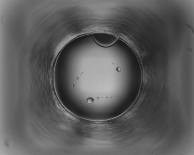 X0000100951486200806241451