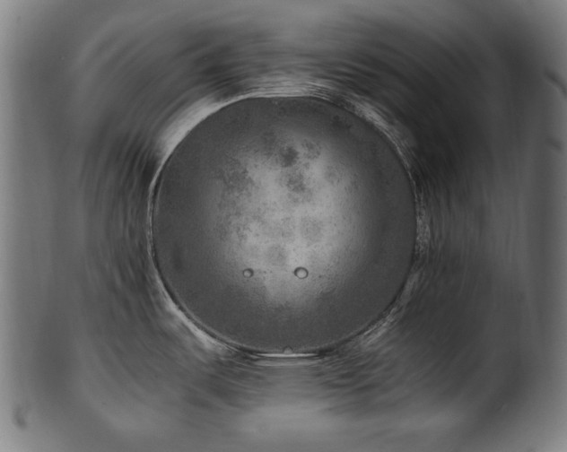 X0000100951487200806241451