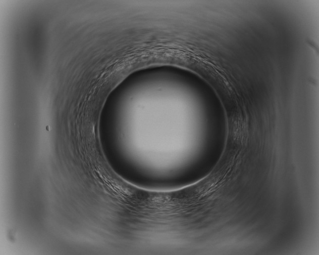 X0000100951489200806241451