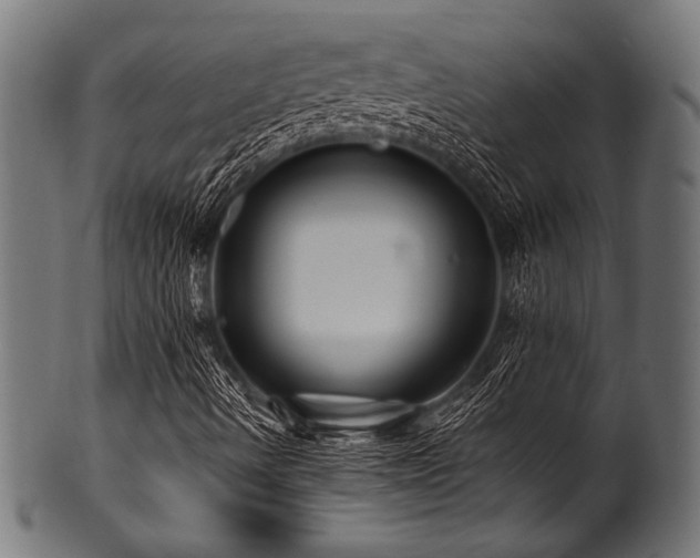 X0000100951490200806241451