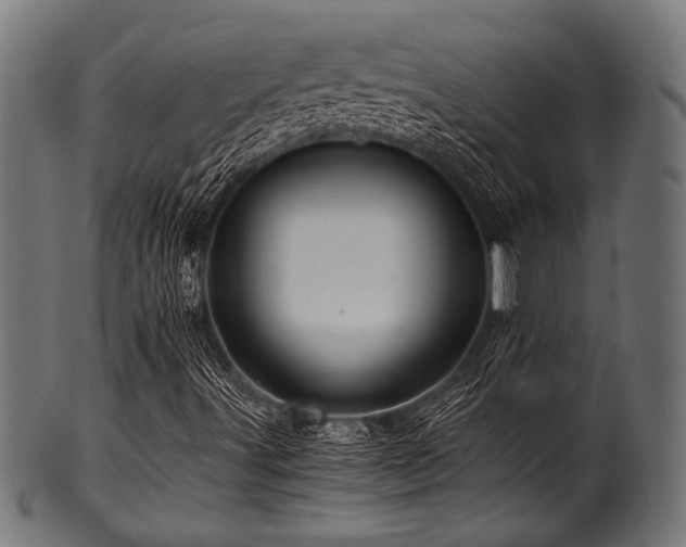 X0000100951491200806241451