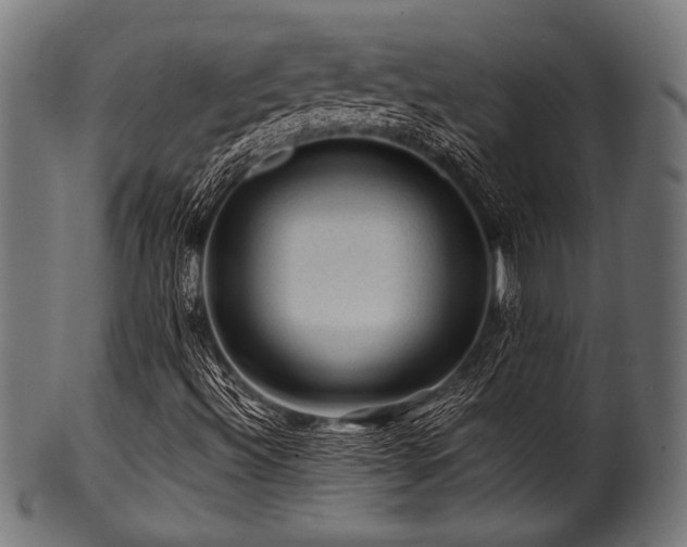 X0000100951492200806241451