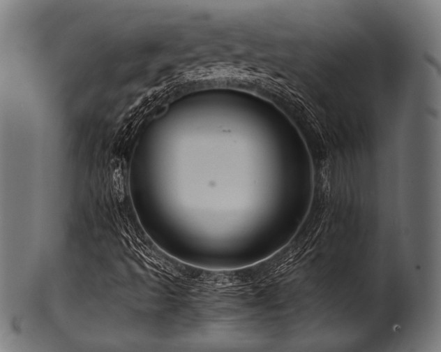 X0000100951493200806241451