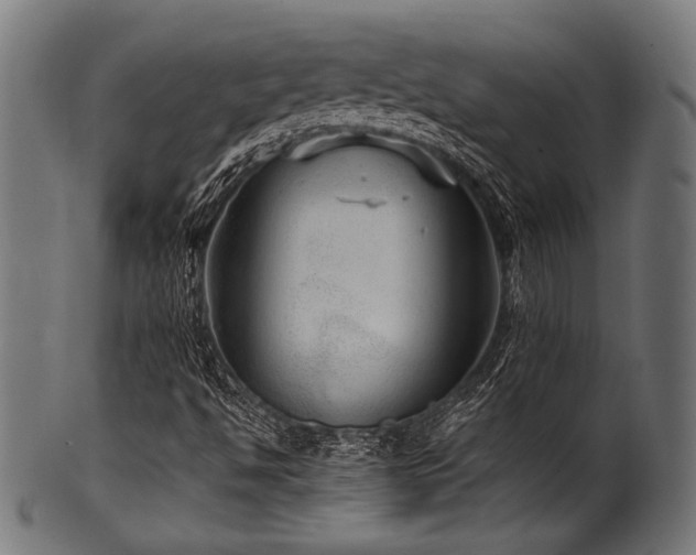 X0000100951494200806241451
