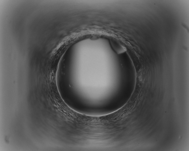 X0000100951495200806241451