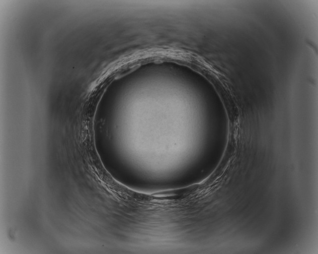 X0000100951496200806241451