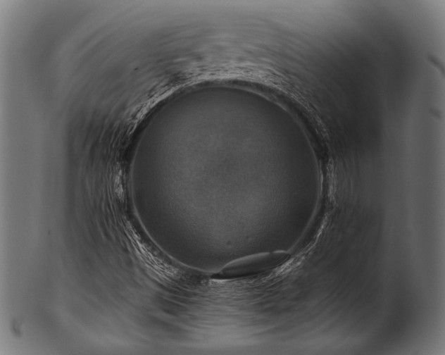 X0000100951497200806241451