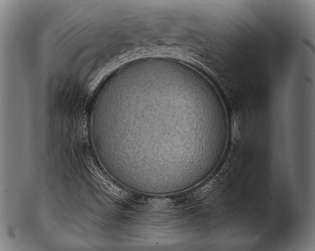 X0000100951498200806241451
