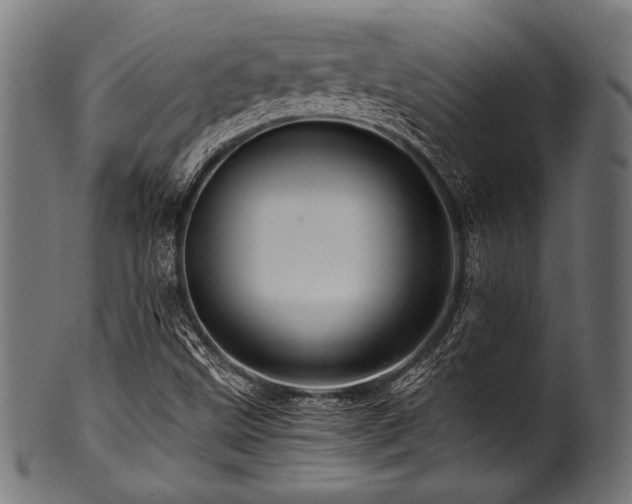X0000100951499200806241451