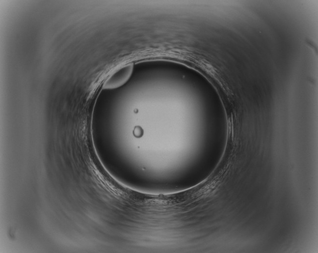 X0000100951500200806241451