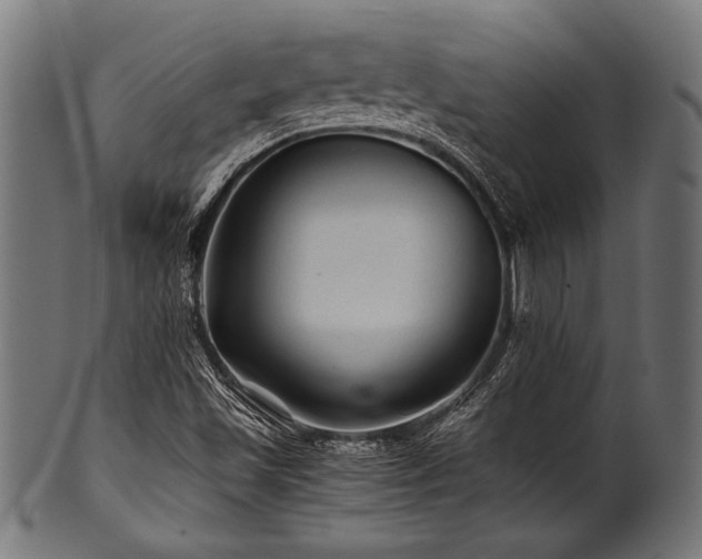 X0000100951501200806241451