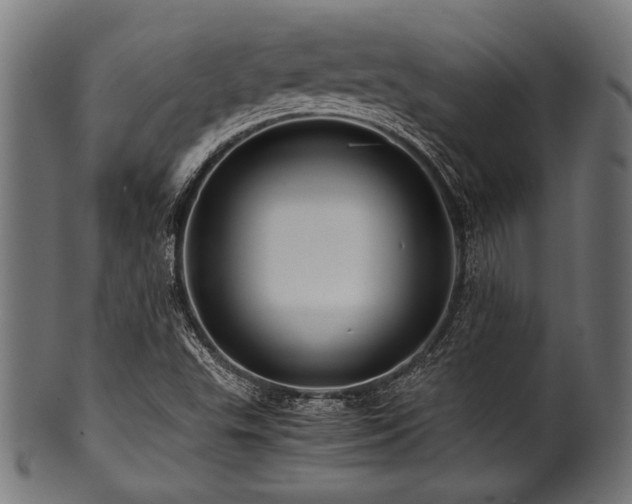 X0000100951503200806241451
