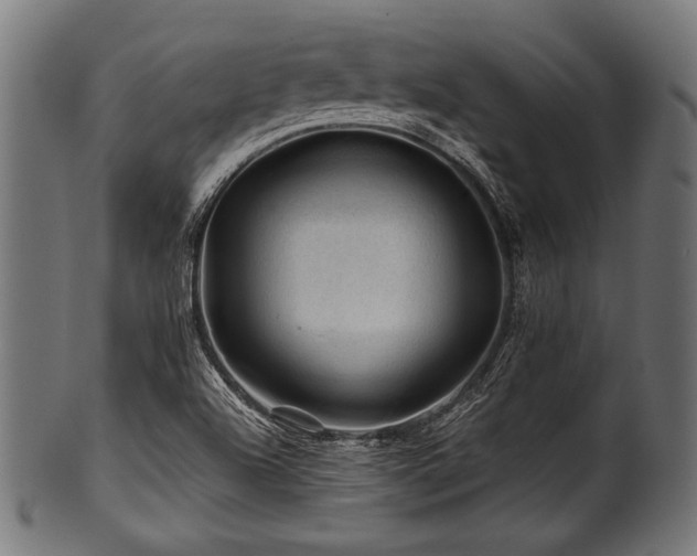 X0000100951504200806241451