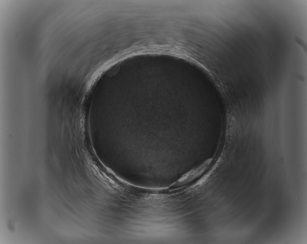 X0000100951506200806241451