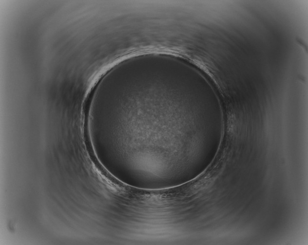 X0000100951508200806241451
