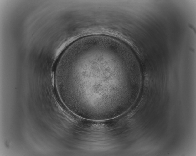 X0000100951509200806241451