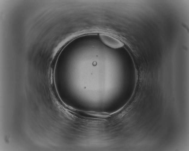 X0000100951510200806241451