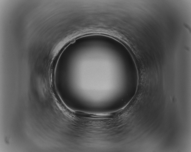 X0000100951511200806241451