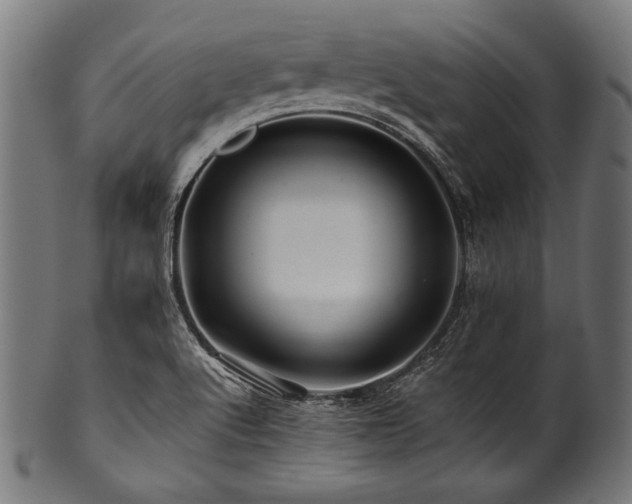 X0000100951512200806241451